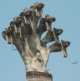 印度寺庙里的光龙娜迦因为很重要所以加粗重复一次,naga其实是印度教