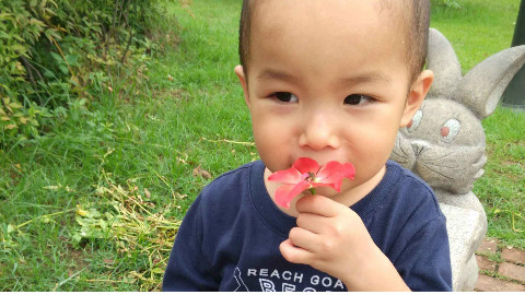 视频: 【09DOTA高分局】猴子 by凤凰视角:喳喳