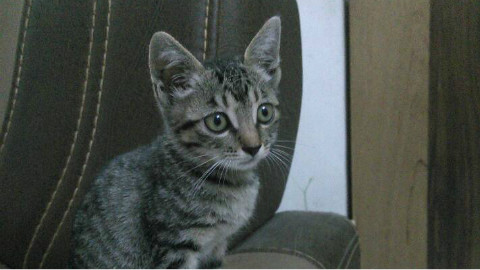 科幻短片·恐怖谷 - AcFun弹幕视频网 - 认真你