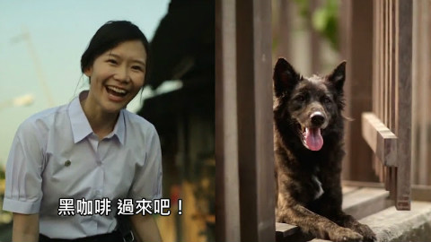 泰国广告洋葱超大颗!怕狗的女孩和一只改变她