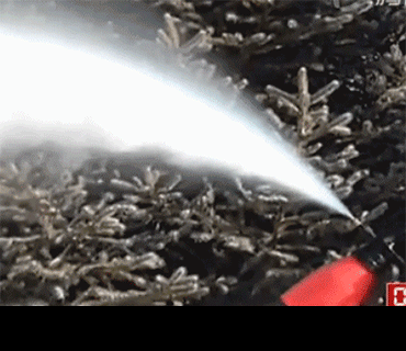 壁纸 风景 370_320 gif 动态图 动图