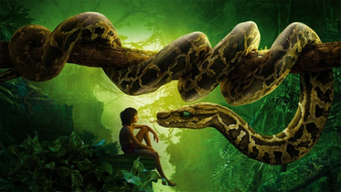 《奇幻森林》The.Jungle.Book.2016.BD720P[MP4\/2.92G][国英双语\/特效中英双字]