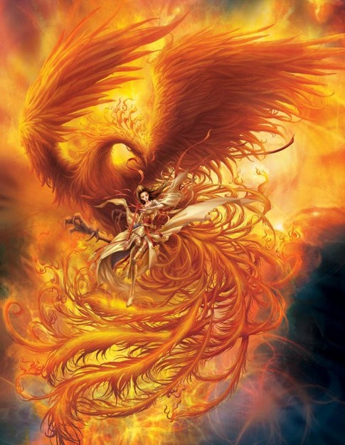 凤凰头顶美丽羽冠,身披五彩翎毛,是综合了许多鸟兽的特点想象出来的