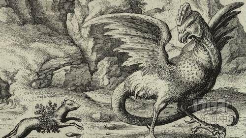 有蜥蜴的身体,头,翅膀是公鸡,身体是狮子,尾巴是熊地怪物,在中世纪