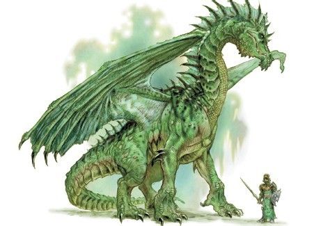 dnd巨龙图鉴