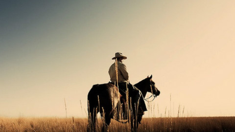 西部往事口琴章